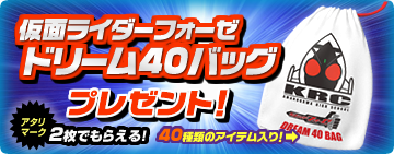 ���̥饤�����ե����� �ɥ꡼��40�Хå� �ץ쥼���